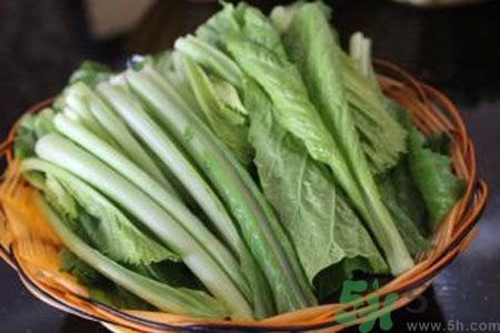 寶寶吃苦菜會拉肚子嗎？寶寶吃苦菜拉肚子了怎么辦？