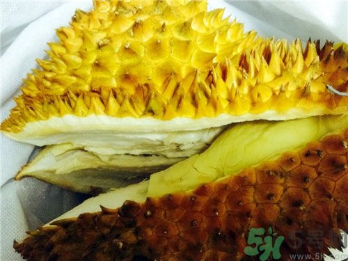 榴蓮裂開了就是熟了嗎?榴蓮裂開才能吃嗎? 榴蓮裂開了就是熟了嗎?榴蓮裂開才能吃嗎?