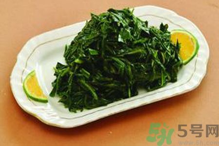 苦菜苦不苦？苦菜怎么做不苦？