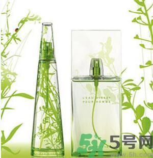 蚊子叮的包過幾天又癢是為什么？蚊子叮的包過幾天又癢怎么辦？