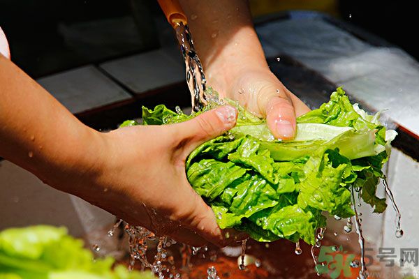 生菜生吃會有寄生蟲嗎？生菜生吃會長寄生蟲嗎？