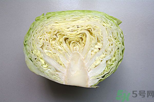 包菜能和魚一起吃嗎？魚可以和包菜一起吃嗎？