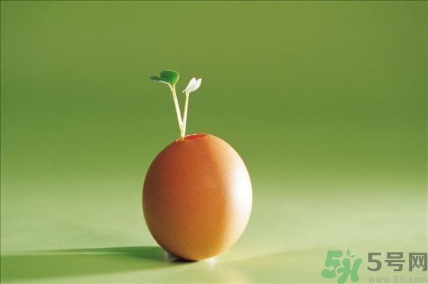 生菜和雞蛋能一起吃嗎？生菜和雞蛋一起怎么做？