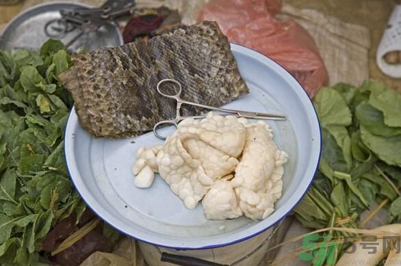 夏天吃蛇肉可以清火嗎？夏天吃蛇肉可以降火嗎？
