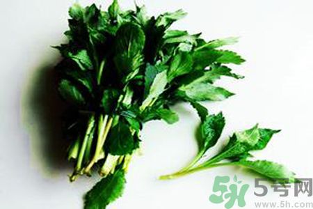 苦菜可以和蝦一起吃嗎？苦菜和蝦一起吃好嗎？