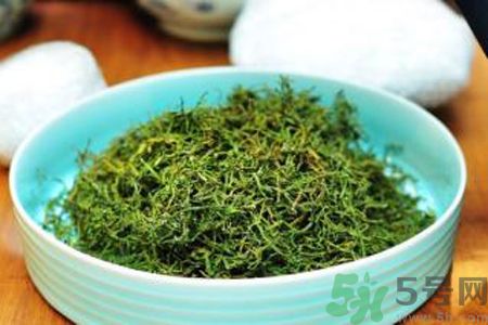 苦菜茶可以和綠茶一起喝嗎？苦菜茶可以和其他茶一起喝嗎？
