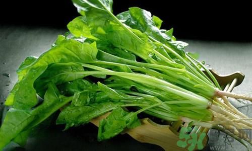 來月經(jīng)吃什么補血 來月經(jīng)吃什么補血