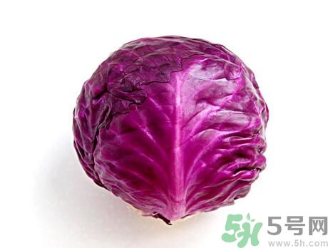 吃紫甘藍可以減肥嗎？吃紫甘藍有減肥作用嗎？