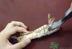 剝蝦神器怎么用？剝蝦神器在哪里買？