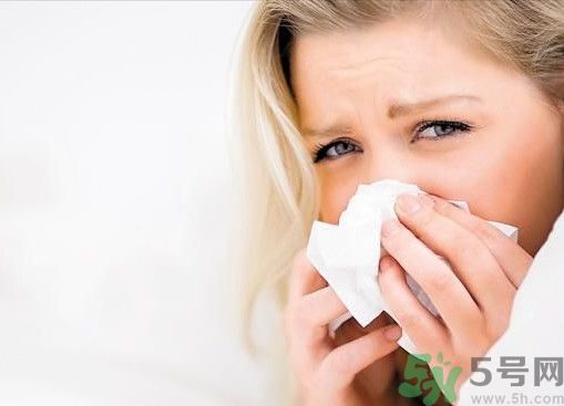 感冒能吃枇杷嗎?風寒感冒能吃枇杷嗎