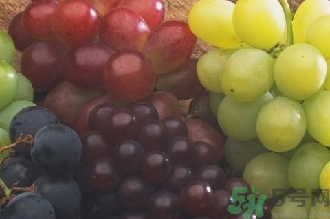 葡萄可以和酸奶一起吃嗎?葡萄能和酸奶同吃嗎? 葡萄可以和酸奶一起吃嗎?葡萄能和酸奶同吃嗎?