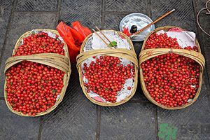 櫻桃核吞下去了怎么辦？不小心吃了櫻桃核怎么辦？