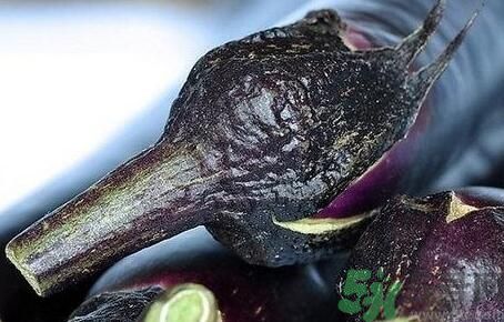 茄子把有什么功效？茄子蒂有什么功效？