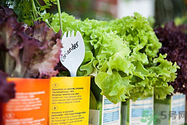 生菜和豆腐能一起吃嗎？生菜和豆腐怎么做好吃？