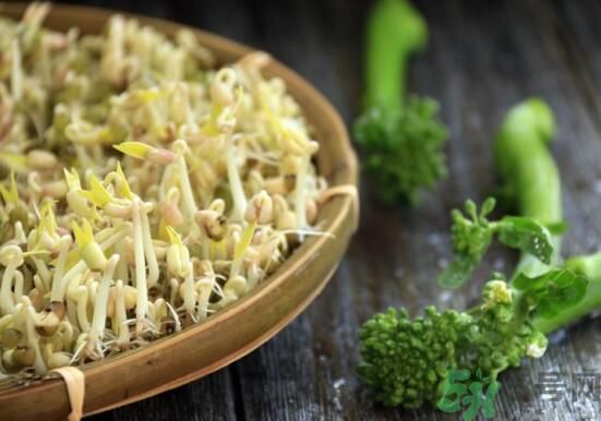 怎樣自己發(fā)綠豆芽？綠豆芽怎樣自己發(fā)？