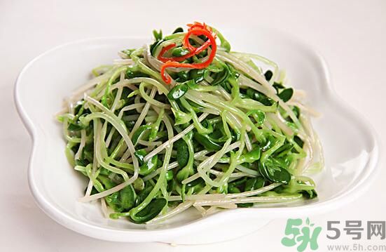 怎樣自己發(fā)綠豆芽？綠豆芽怎樣自己發(fā)？