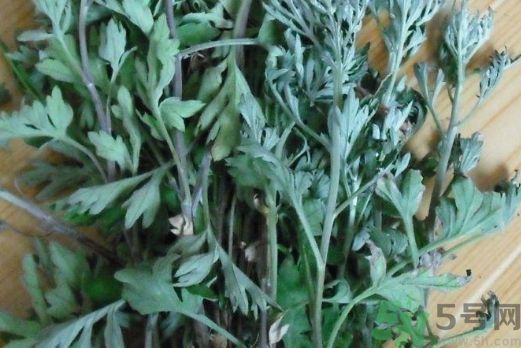 艾葉是艾草嗎?艾葉是艾草的葉子嗎? 艾葉是艾草嗎?艾葉是艾草的葉子嗎?