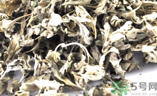 艾葉是艾草嗎?艾葉是艾草的葉子嗎? 艾葉是艾草嗎?艾葉是艾草的葉子嗎?