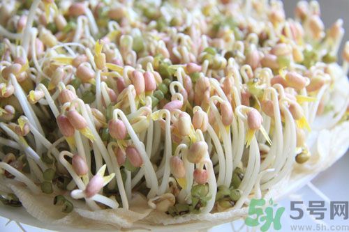 紅豆可以發(fā)豆芽嗎？紅豆芽可以吃嗎？