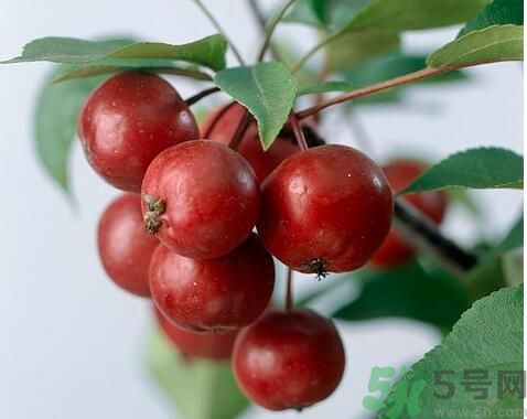 山楂可以生吃嗎？生吃山楂好嗎？