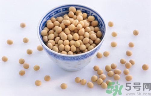 吃黃豆能補孕酮嗎?黃豆可以補充孕酮嗎