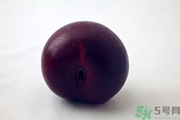 黑布林是李子嗎？黑布林的功效與作用