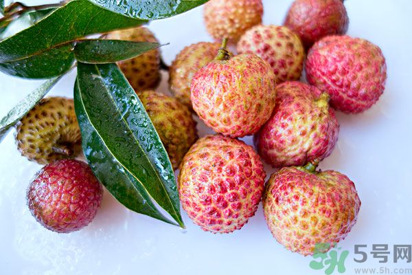 桂圓是荔枝嗎？桂圓和荔枝有什么區(qū)別？