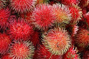 吃紅毛丹上火嗎？吃紅毛丹上火怎么辦？