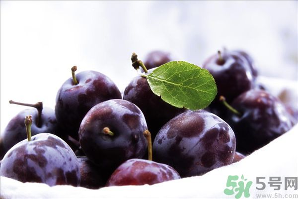 灰子和李子有什么區(qū)別？灰子的功效與禁忌