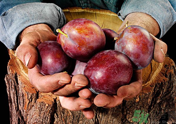 灰子和李子有什么區(qū)別？灰子的功效與禁忌