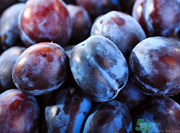 灰子和李子有什么區(qū)別？灰子的功效與禁忌