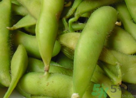 新鮮毛豆怎么保存?新鮮毛豆能放冰箱保存嗎? 新鮮毛豆怎么保存?新鮮毛豆能放冰箱保存嗎?