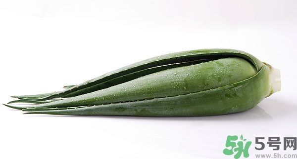 經(jīng)期可以吃蘆薈嗎？經(jīng)期吃蘆薈會(huì)肚子痛嗎？