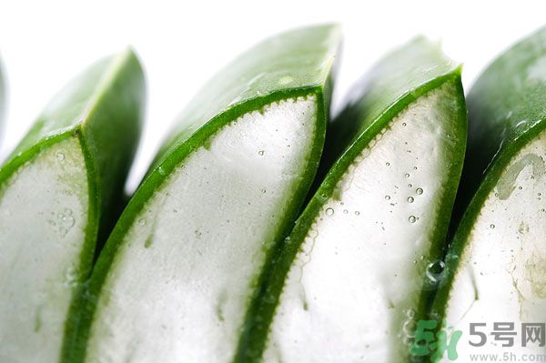 孕婦可以吃蘆薈嗎？孕婦吃蘆薈會怎樣？