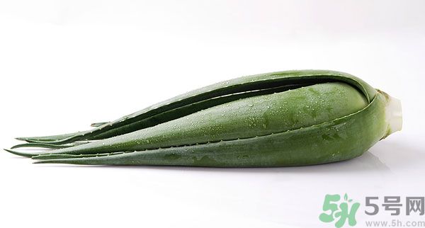 孕婦可以吃蘆薈嗎？孕婦吃蘆薈會(huì)怎樣？