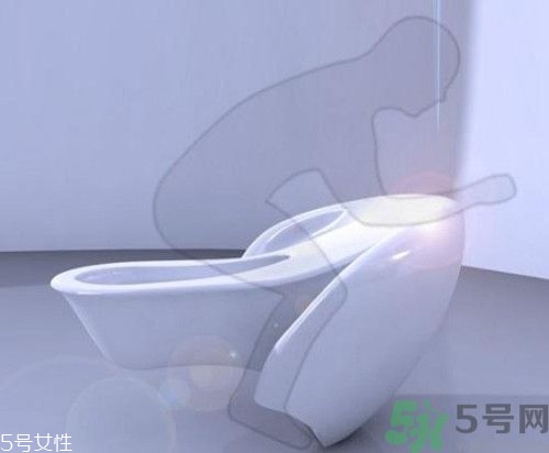 蹲坑和馬桶哪個好?哪個更健康 蹲坑和馬桶哪個好?哪個更健康