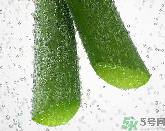 夏天吃蘆薈可以降火嗎？夏天吃蘆薈能清火嗎？