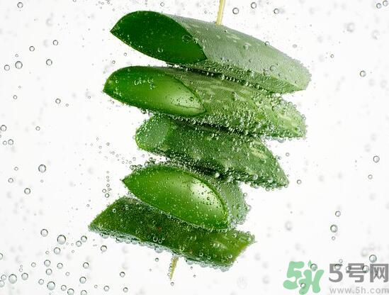 蘆薈怎么榨汁好喝？蘆薈可以榨汁嗎？