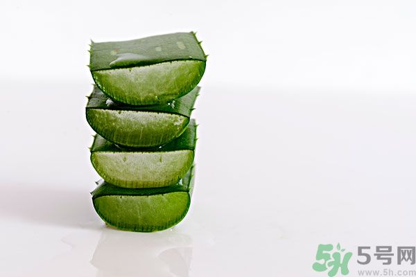 蘆薈是發(fā)物嗎？蘆薈是不是發(fā)物？