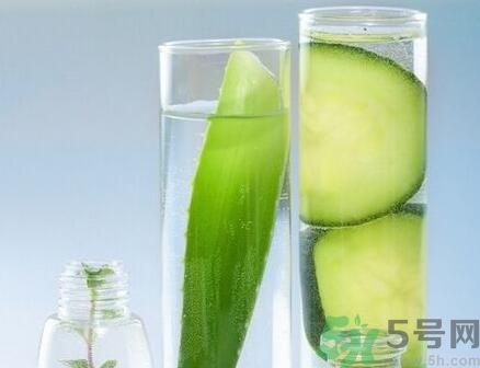 吃粽子可以吃龍蝦嗎？粽子可以和龍蝦一起吃嗎？