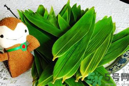 粽子葉有黑點(diǎn)可以包粽子嗎？粽葉有黑點(diǎn)是怎么回事？