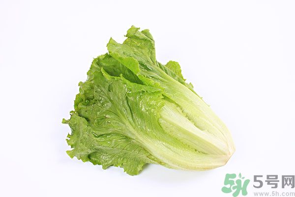 小孩可以吃生菜嗎？小孩吃生菜好嗎？