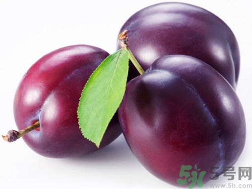 芒果可以和李子一起吃嗎？芒果和李子一起吃好嗎？