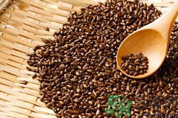 決明子是涼性的嗎？決明子是涼性還是熱性？