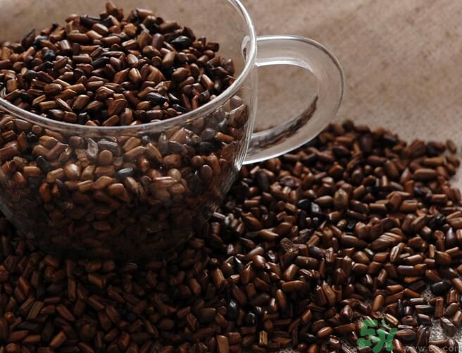 決明子泡茶喝可以減肥嗎？決明子泡茶喝有減肥效果嗎？