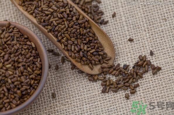 決明子泡茶喝可以減肥嗎？決明子泡茶喝有減肥效果嗎？