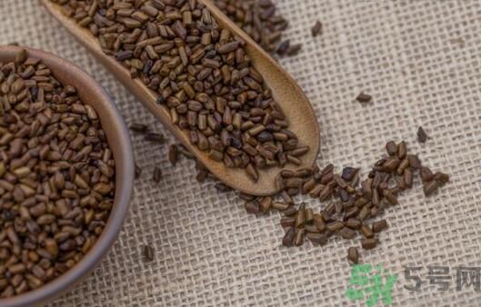 決明子泡茶加什么好？決明子和什么一起泡好？