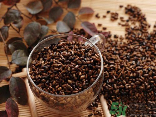 什么樣的決明子好？怎樣選購好的決明子？