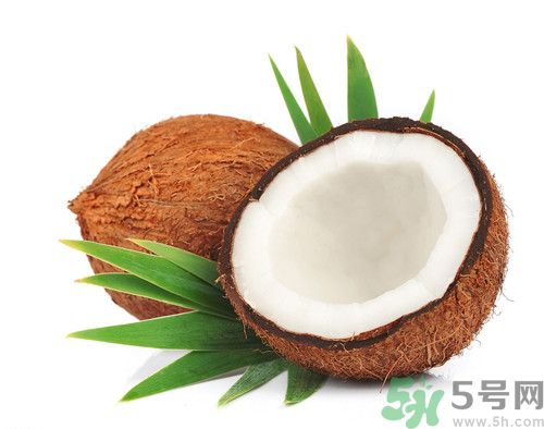 椰子肉怎么弄出來(lái)?椰子肉怎么吃 椰子肉怎么弄出來(lái)?椰子肉怎么吃
