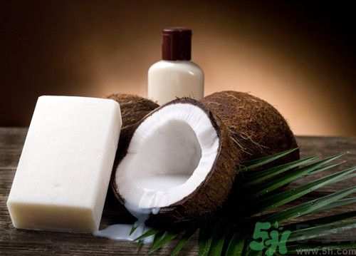 椰子汁有什么營(yíng)養(yǎng)?椰子汁的功效與副作用 椰子汁有什么營(yíng)養(yǎng)?椰子汁的功效與副作用